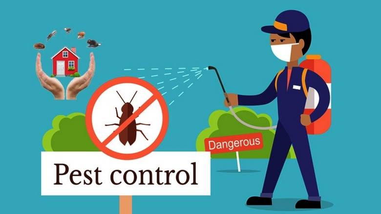 How to Ensure Pest Control?